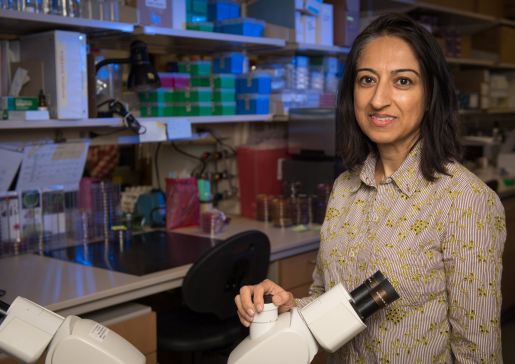 Dr. Nasia Safdar in her lab