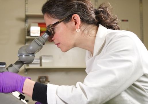 Dr. Miriam Shelef